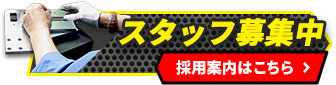 スタッフ募集 採用情報はこちら